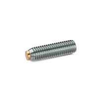 GN 913.5 Stainless Steel Grub Screw with Brass Plastic Pivot